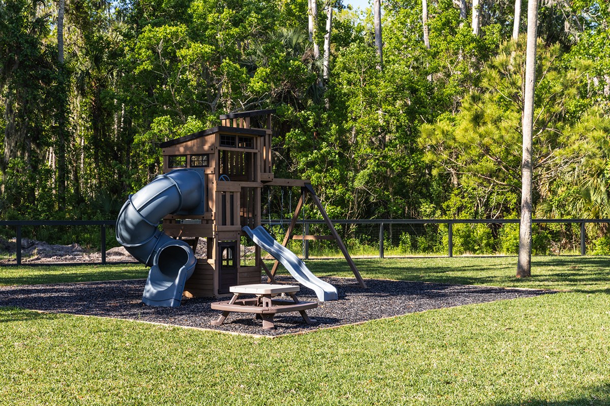 Wilderness Trail Play Structure