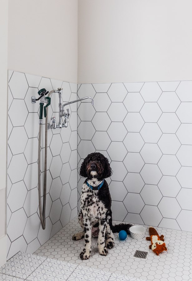 16 Collinsbuilders Hollis Photoby Murielsilva