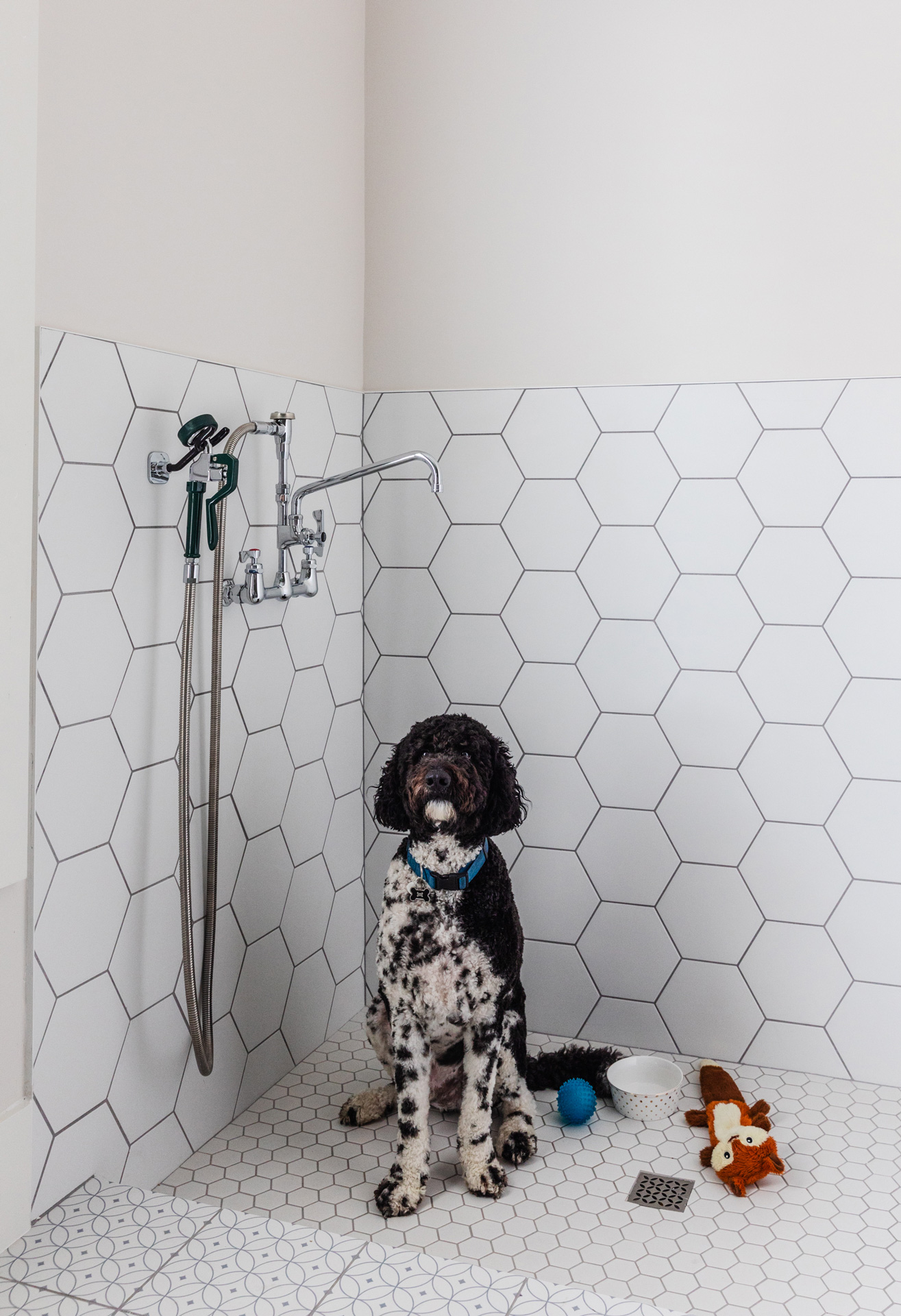 16 Collinsbuilders Hollis Photoby Murielsilva