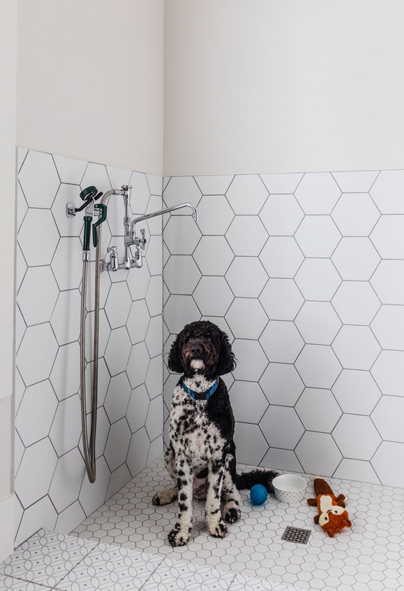 16 Collinsbuilders Hollis Photoby Murielsilva